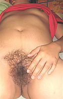 IMG_1168A_Small_.JPG