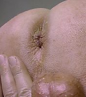 41219aa_eierclosfi88gbss.jpg
